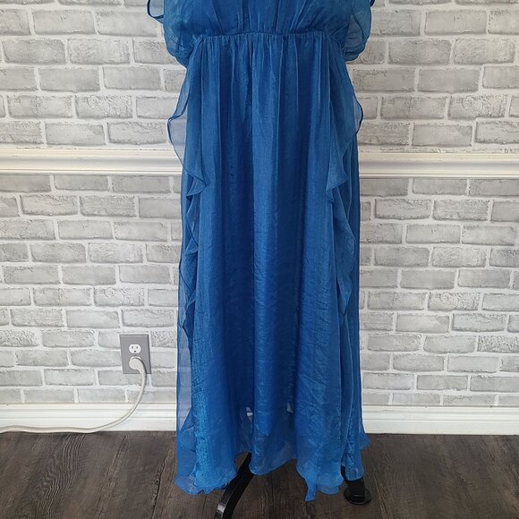 Adelyn Rae Blue Organza Ruffled Dress Sheer Overlay NEW XXL Maxi Fairycore - Picture 8 of 8